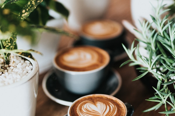 Three cappuccinos with latte art in ceramic cups on a wooden table, framed by leafy plants nearby.