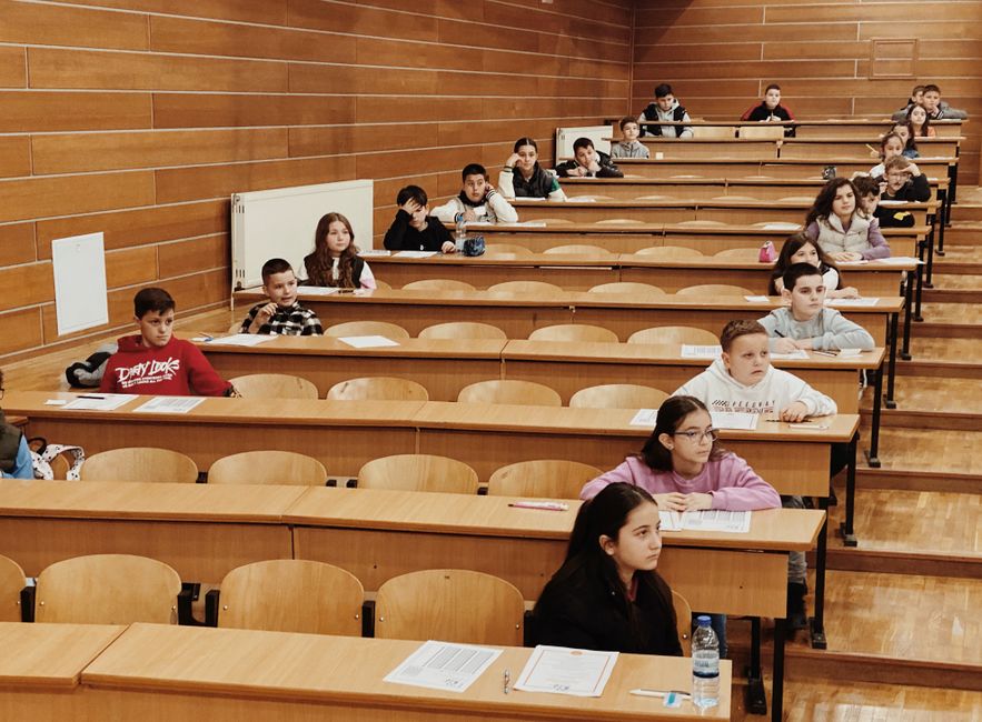 The Role of AI in Geochemistry